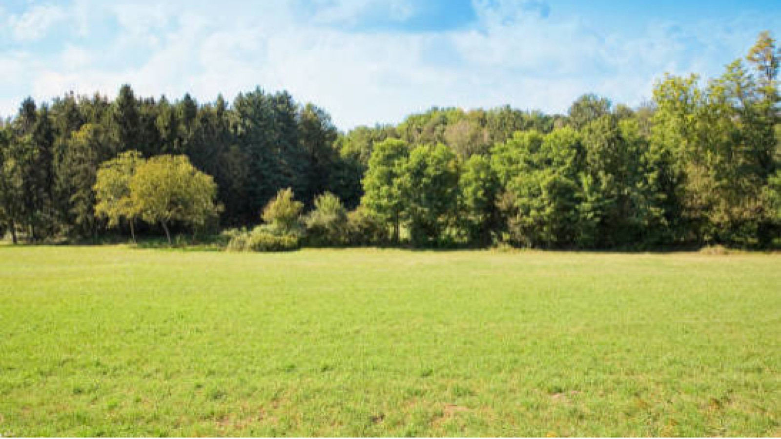 Terrain constructible de 500m2 à Limetz-Villez