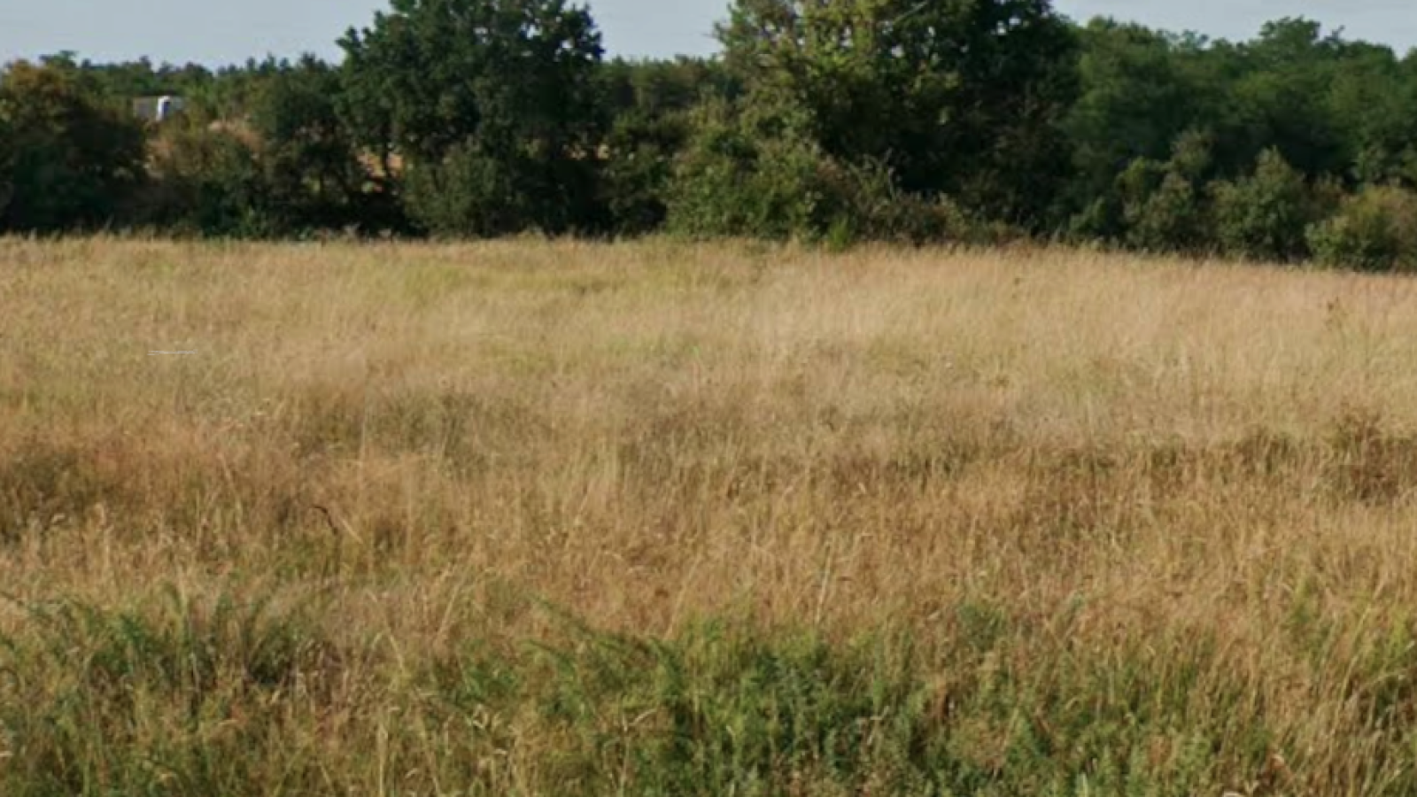 Terrain constructible de 759m2 à Gennes-Val-de-Loire
