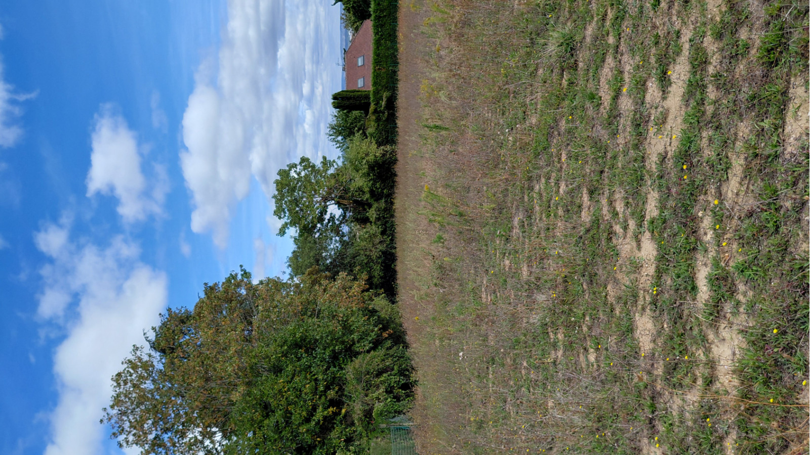 Terrain constructible de 486m2 à Épernon