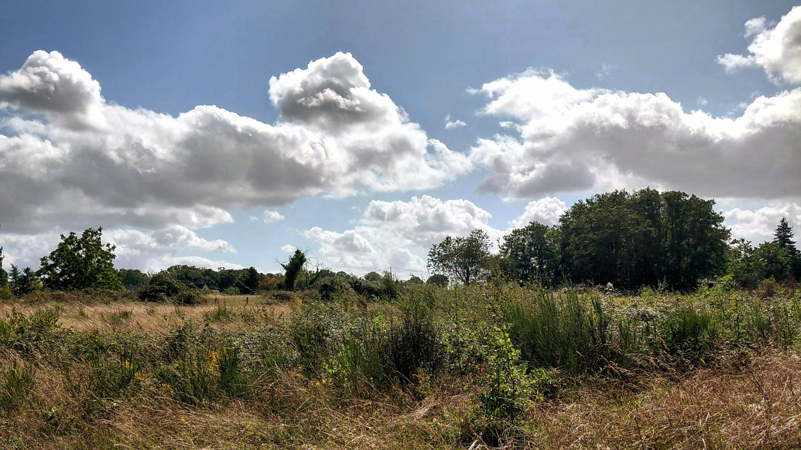 Terrain constructible de 591m2 à Montbazon