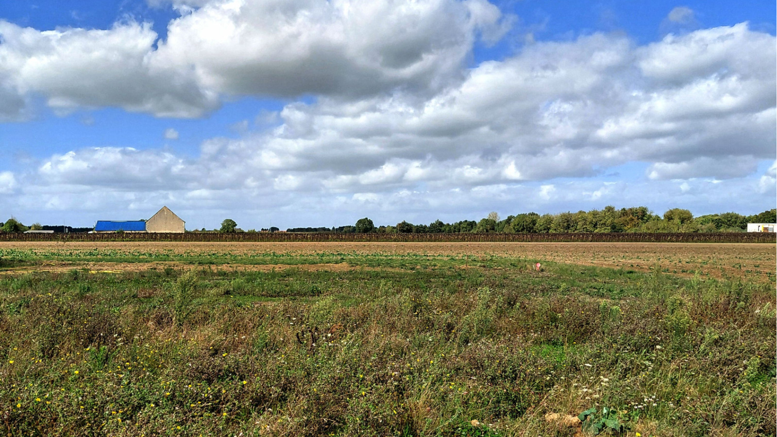 Terrain constructible de 501m2 à Veigné