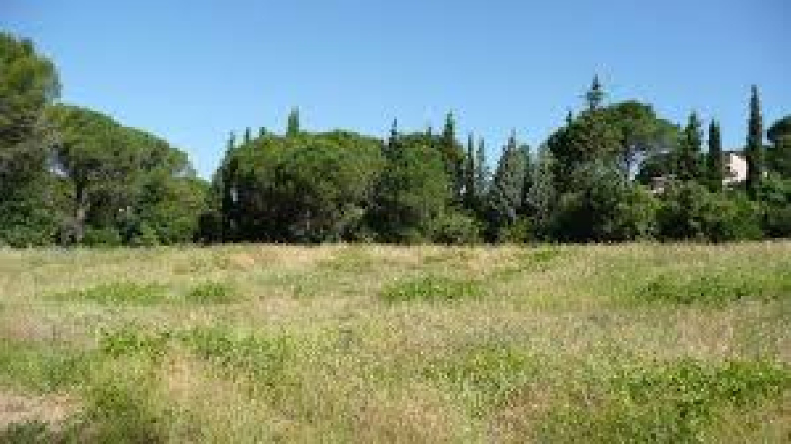 Terrain constructible de 665m2 à Bourgueil