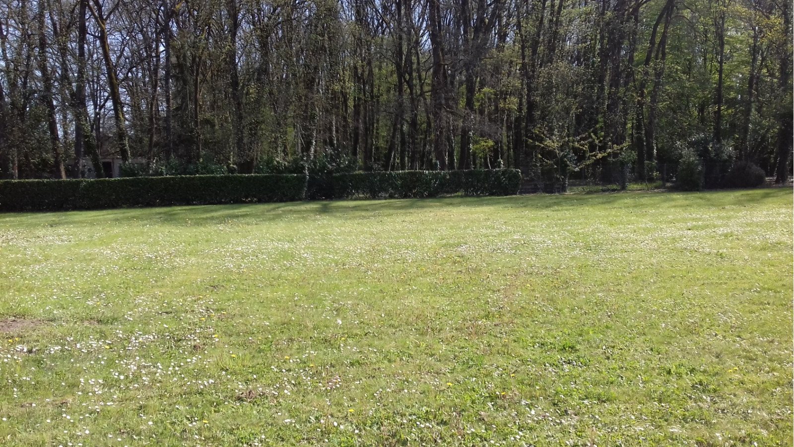 Terrain constructible de 2200m2 à Oyré