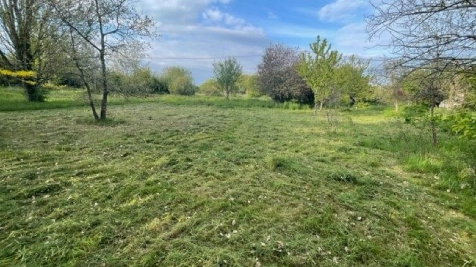Terrain constructible de 1500m2 à Champigny en Rochereau