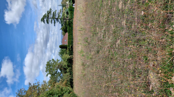 20260917_125331.jpg