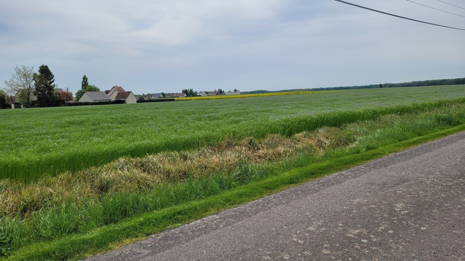 Terrain constructible de 491m2 à Saint-Laurent-en-Gâtines