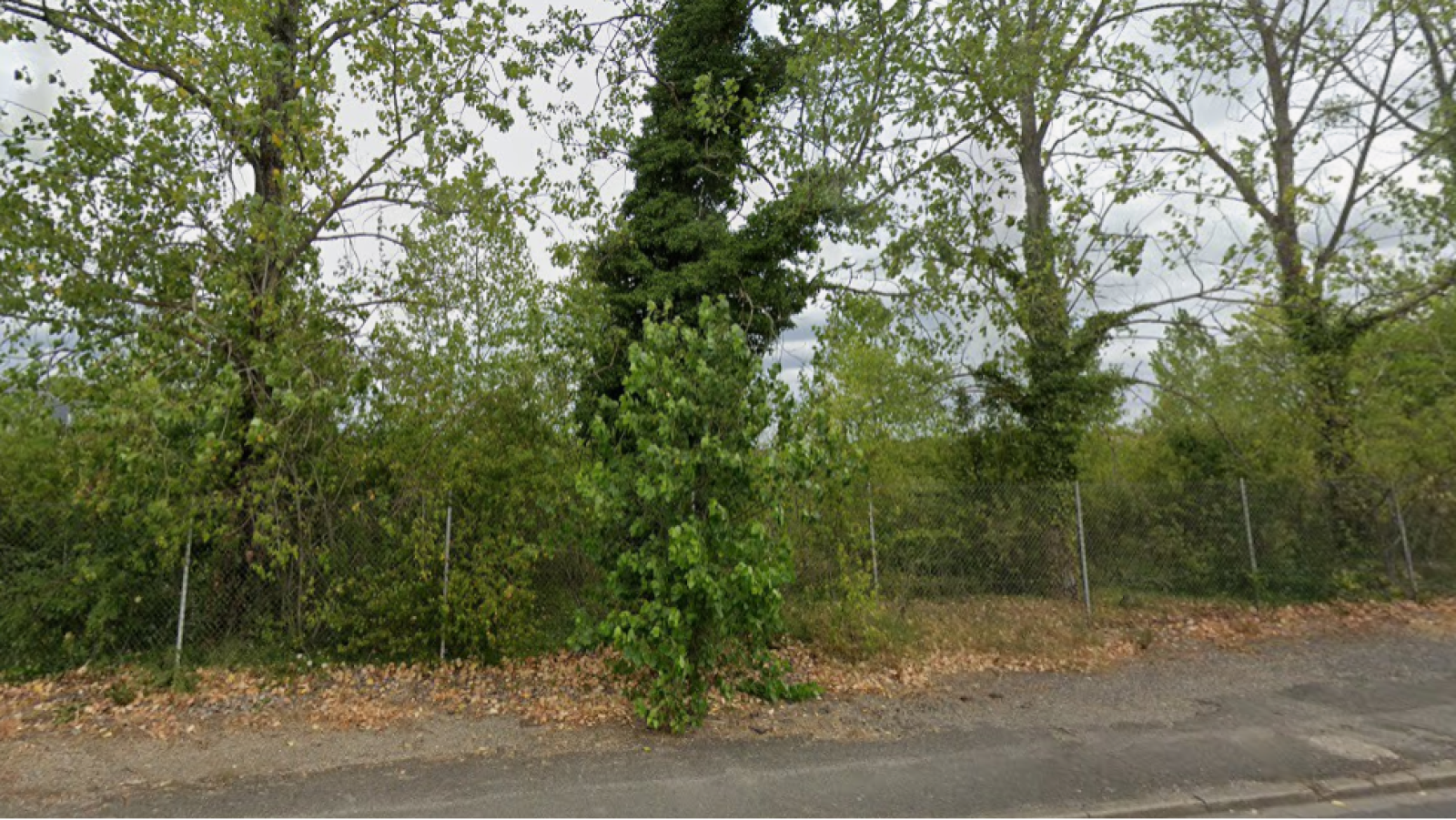 Terrain constructible de 534m2 à La Chapelle-Saint-Mesmin