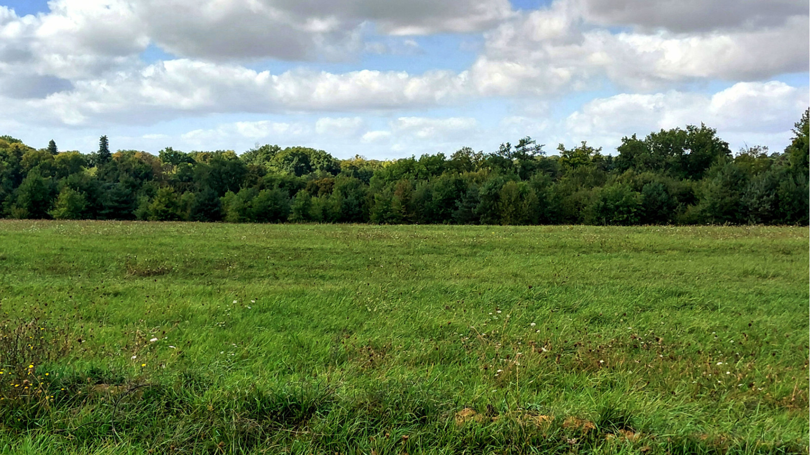 Terrain constructible de 400m2 à Monnaie