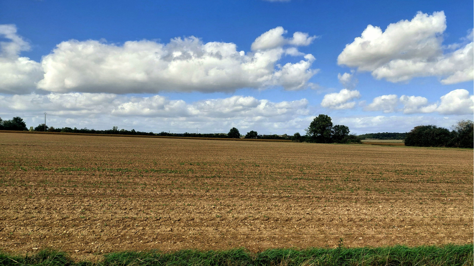 Terrain constructible de 361m2 à Pernay