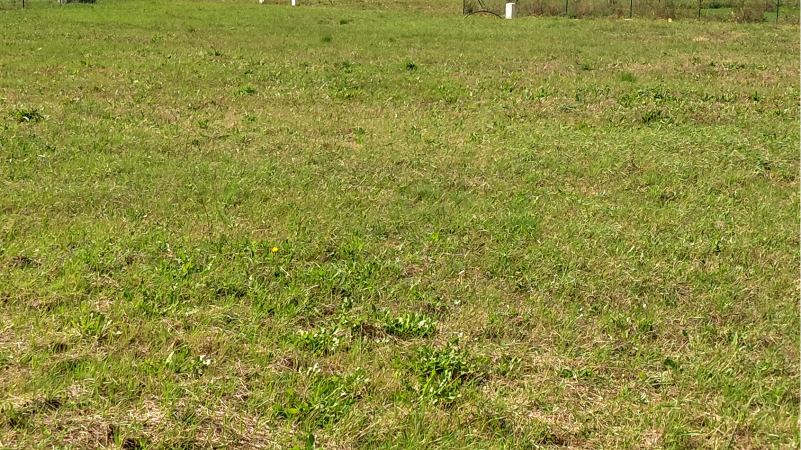 Terrain constructible de 383m2 à Langeais