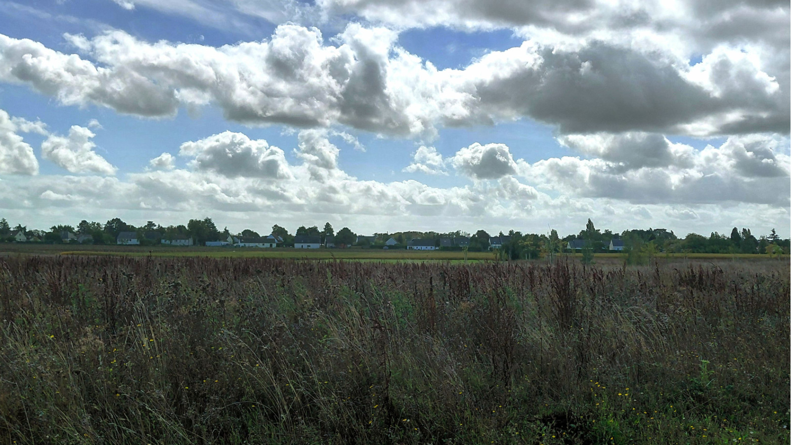 Terrain constructible de 530m2 à Manthelan