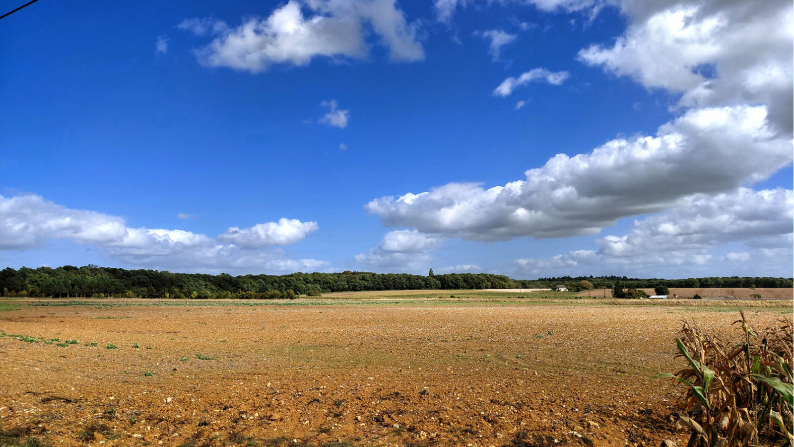 Terrain constructible de 666m2 à Reignac-sur-Indre