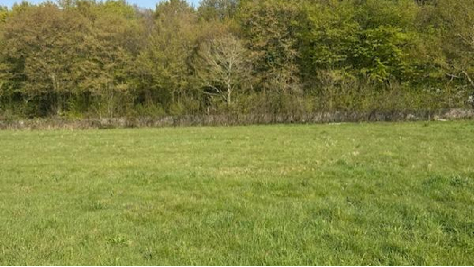 Terrain constructible de 561m2 à Baugé-en-Anjou