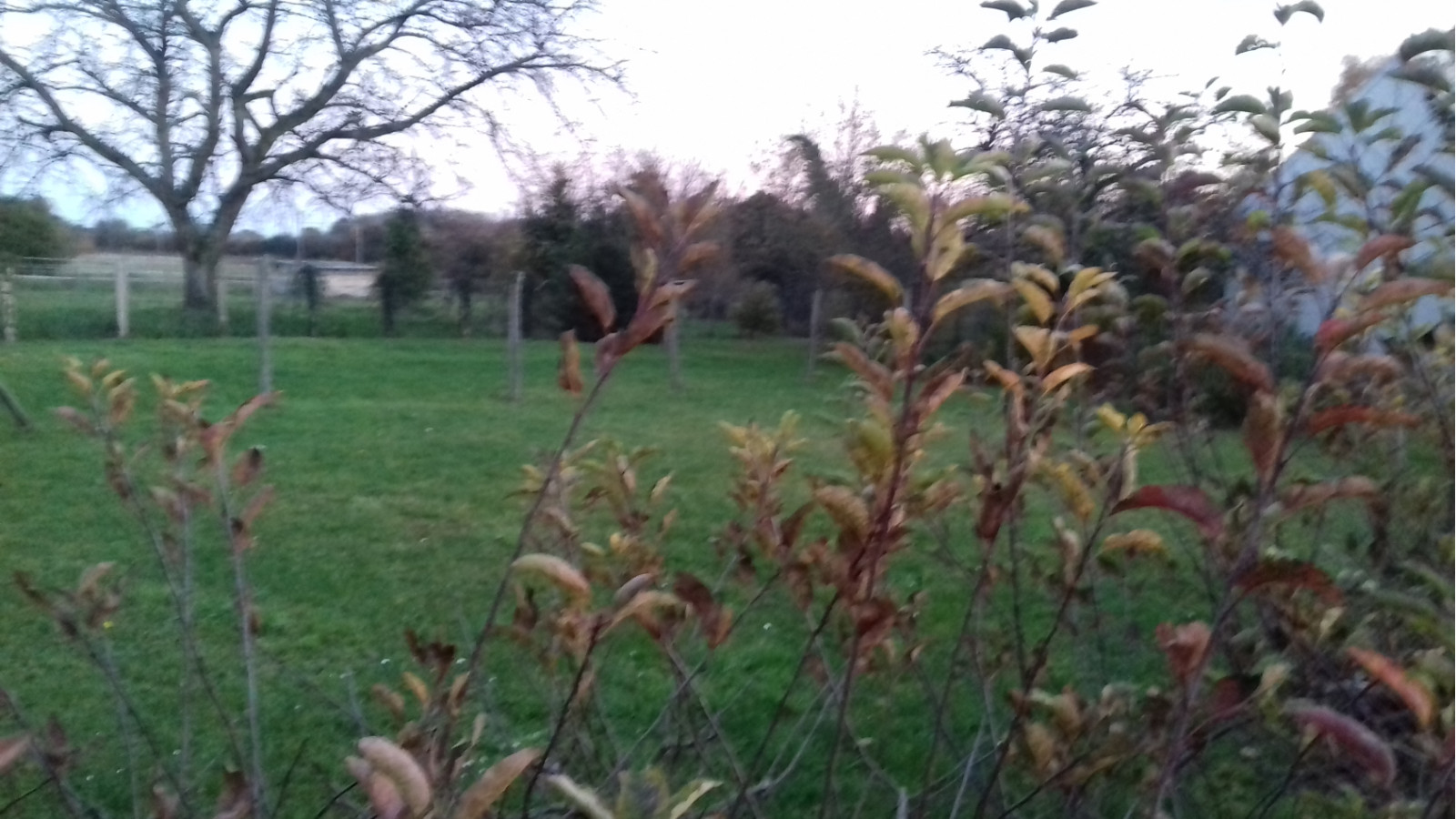 Terrain constructible de 904m2 à La Selle-en-Hermoy